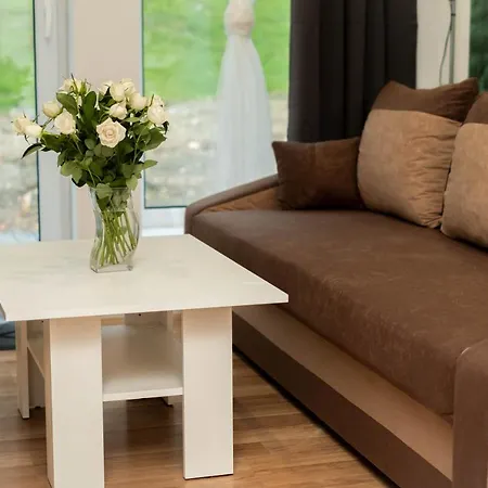 Apartment Goszowita Stronie Slaskie